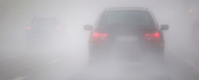 #DicasGrupoDago: como dirigir com segurança na neblina