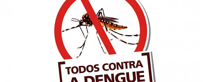 Dengue, combate ao mosquito